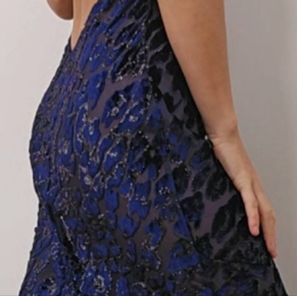 Nwot revolve studio pm Luxury Cobalt Velvet Leopard Semi Sheer Maxi Dress Gown s - Picture 7 of 7